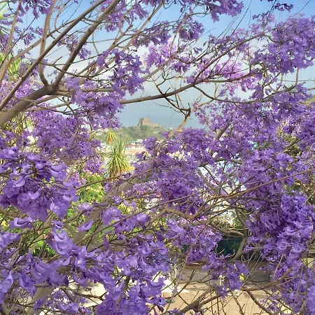 Grand De Rose סקליאה
